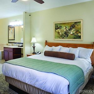 Deluxe King Suite
